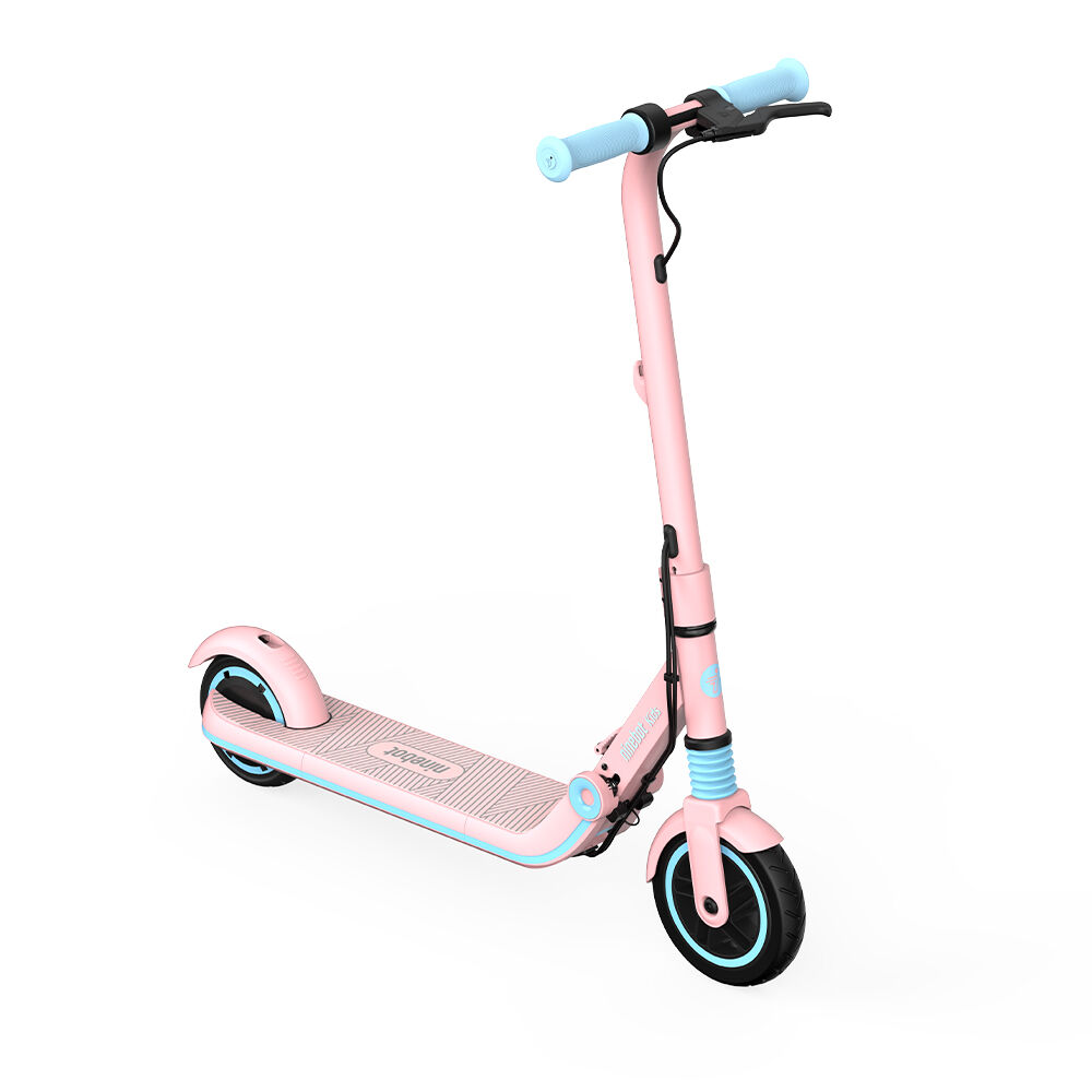 Segway Ninebot eKickScooter ZING E8, Pink