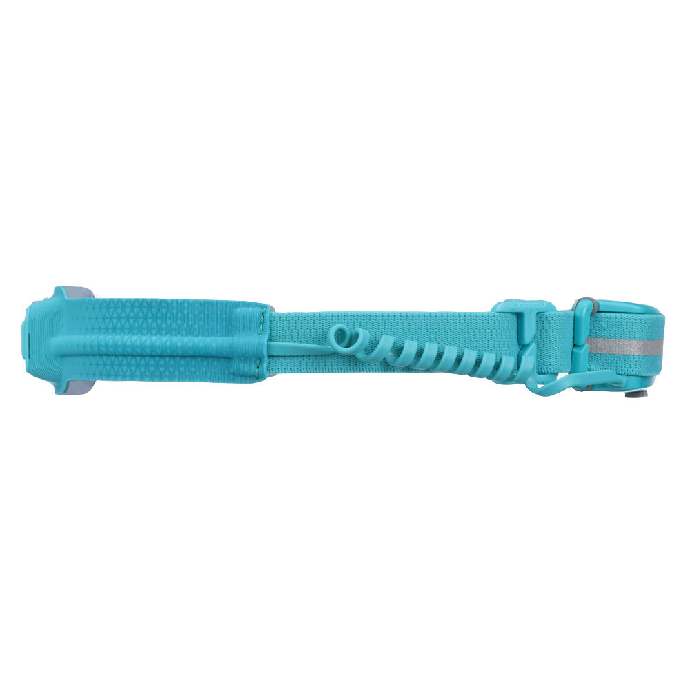 BioLite Headlamp 330