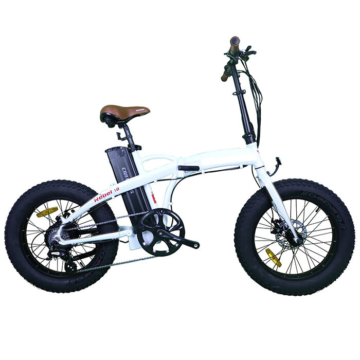 GlareWheel EB-RE Folding Electric Fat Tire Bike 20''