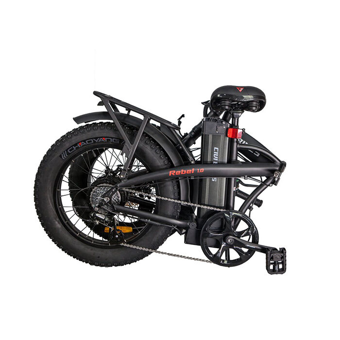 GlareWheel EB-RE Folding Electric Fat Tire Bike 20''