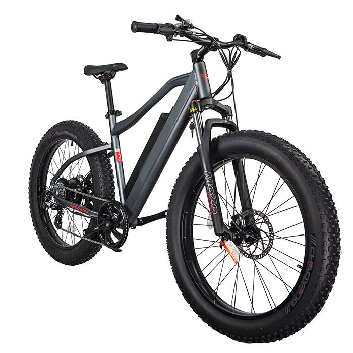 GlareWheel EB-PR Fat Tire 26"  Electric Fat Tire Mountain Bicycle