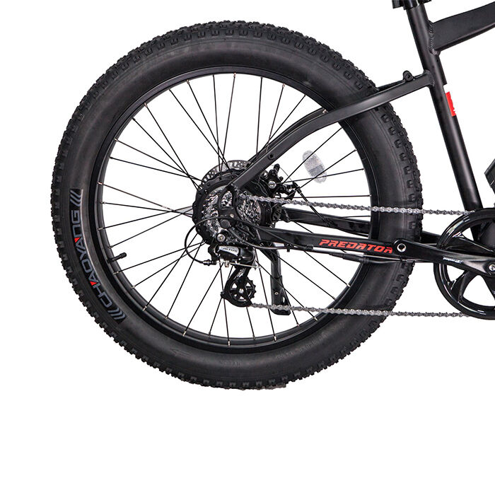 GlareWheel EB-PR Fat Tire 26"  Electric Fat Tire Mountain Bicycle