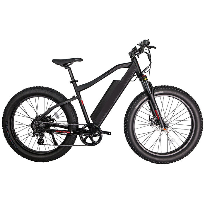 GlareWheel EB-PR Fat Tire 26" Electric Fat Tire Mountain Bicycle