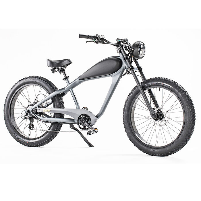 GlareWheel EB-CH Fat Tire 750W Electric Cruiser Bike