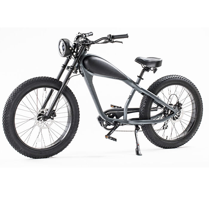 GlareWheel EB-CH Fat Tire 750W Electric Cruiser Bike