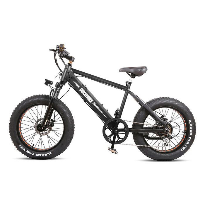 GlareWheel 20" Fat Tire Electric Bicycle EB-X7