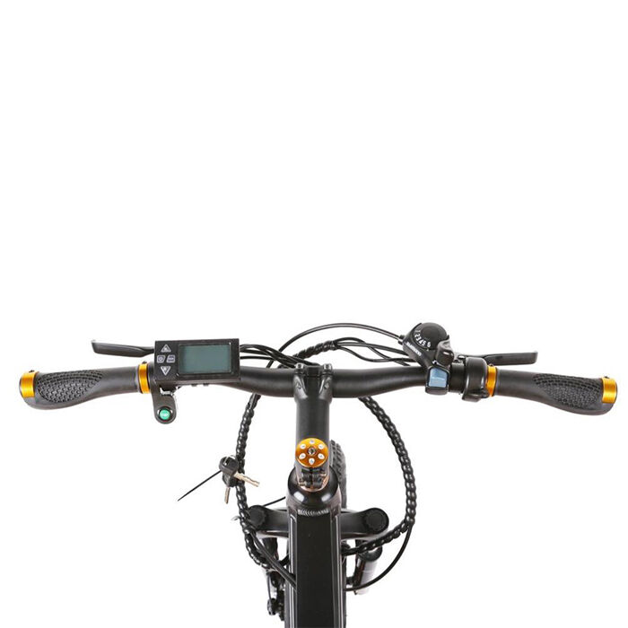 GlareWheel 20" Fat Tire Electric Bicycle EB-X7